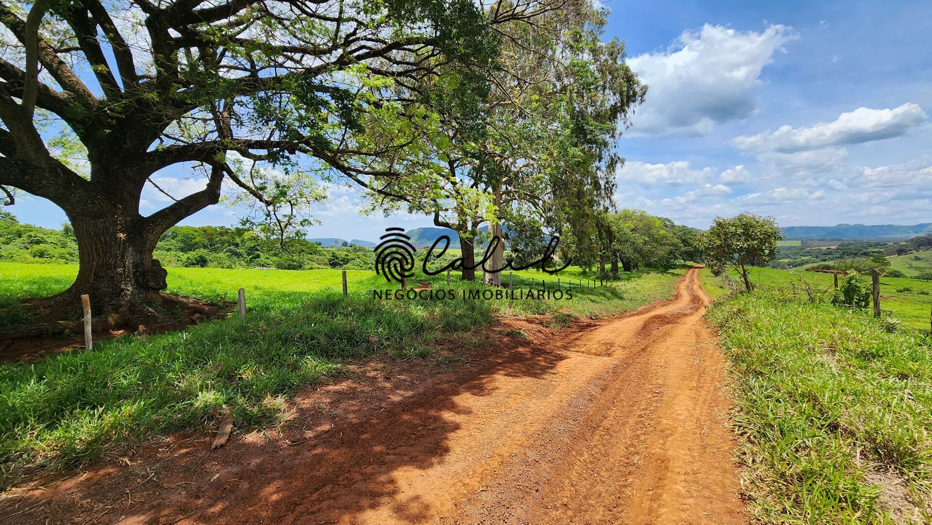 Fazenda, 76 hectares - Foto 16