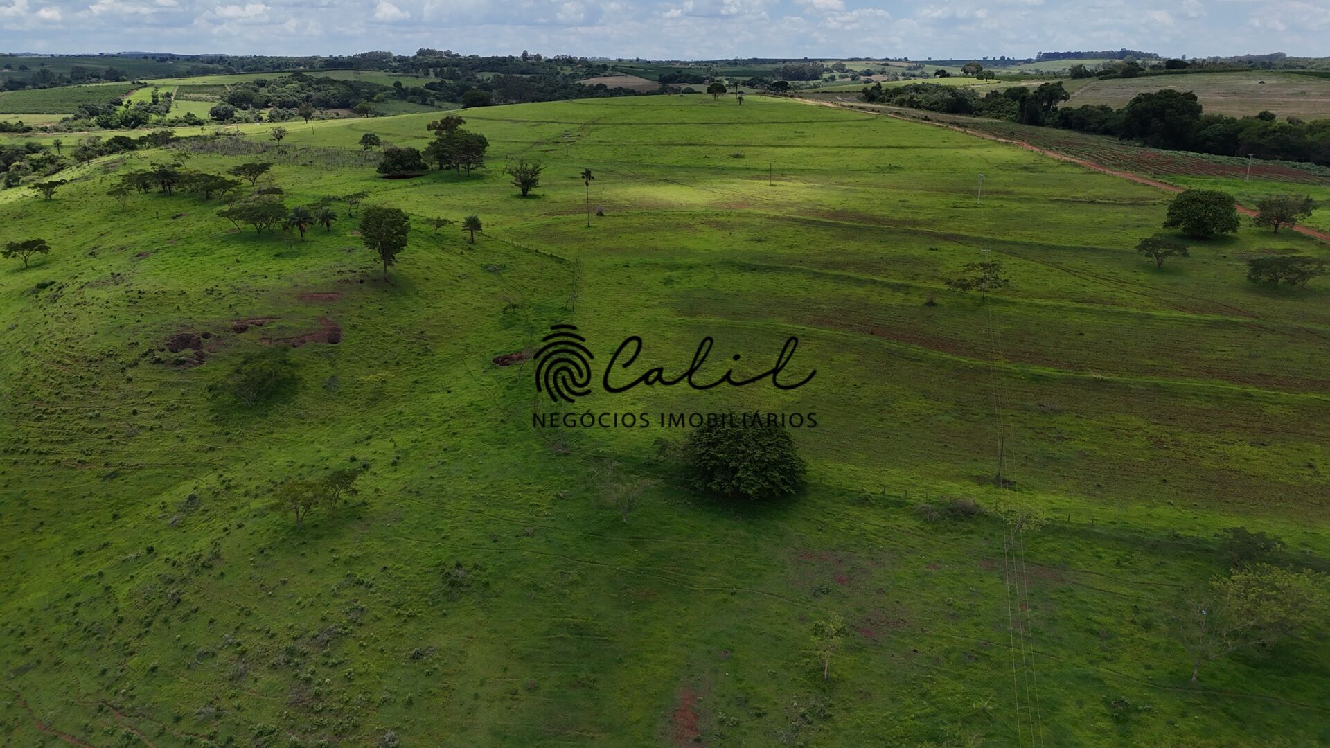 Fazenda, 76 hectares - Foto 15