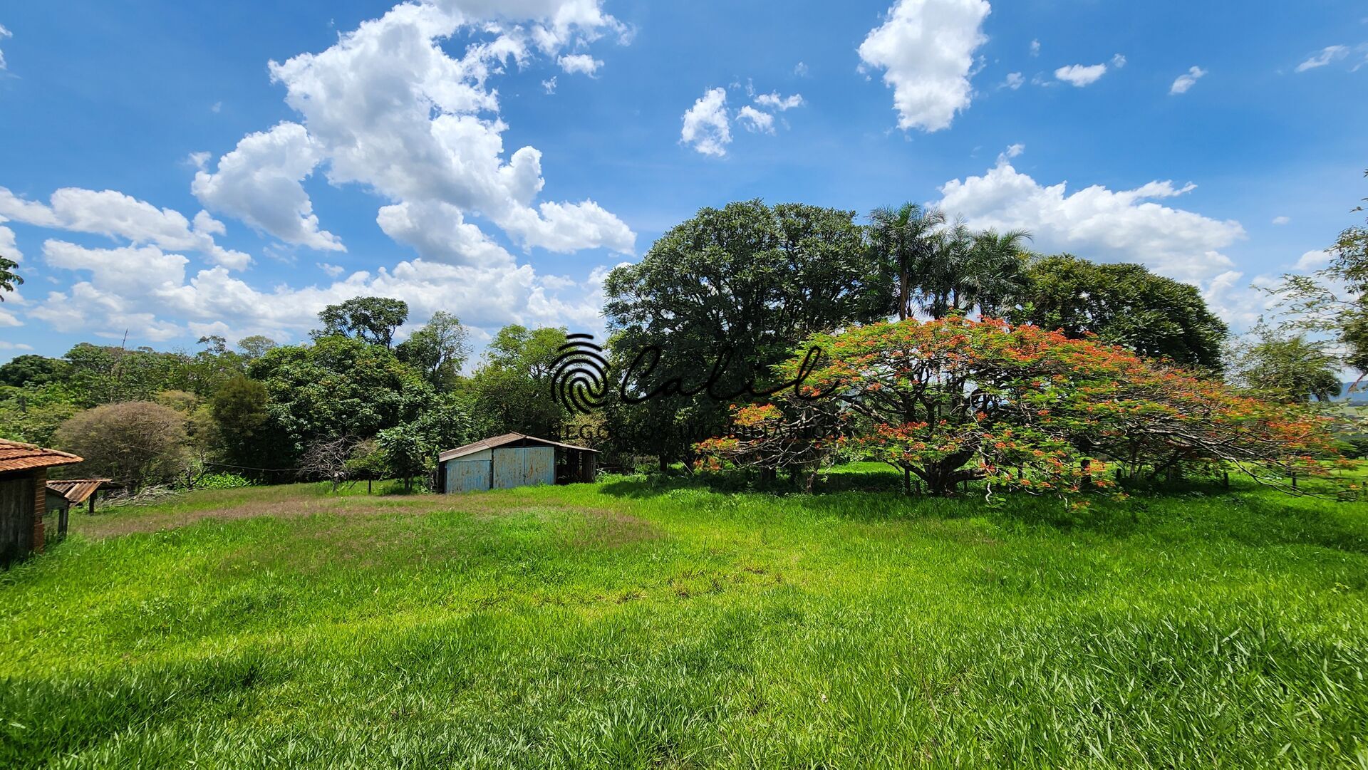 Fazenda, 76 hectares - Foto 39