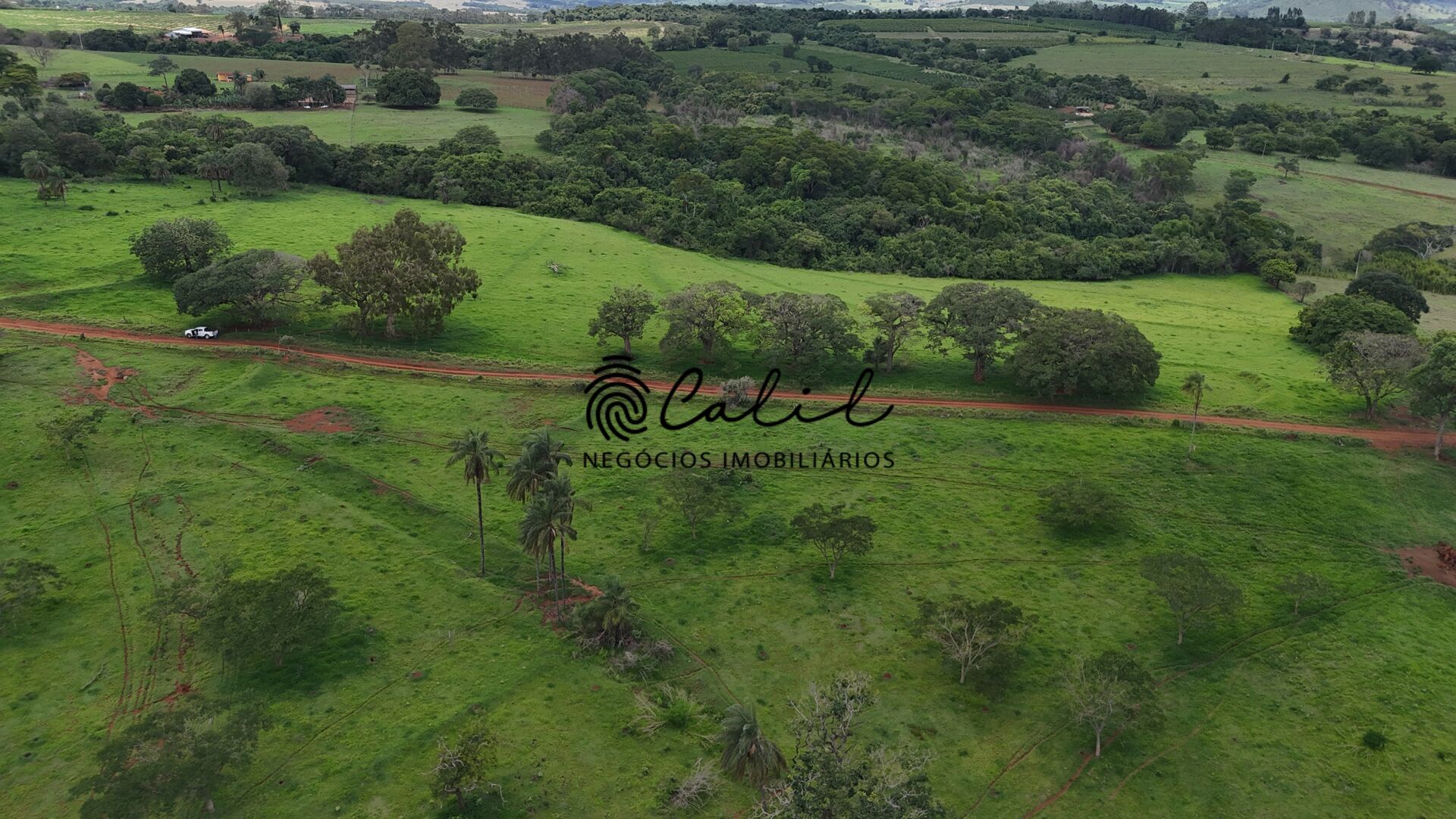 Fazenda, 76 hectares - Foto 14