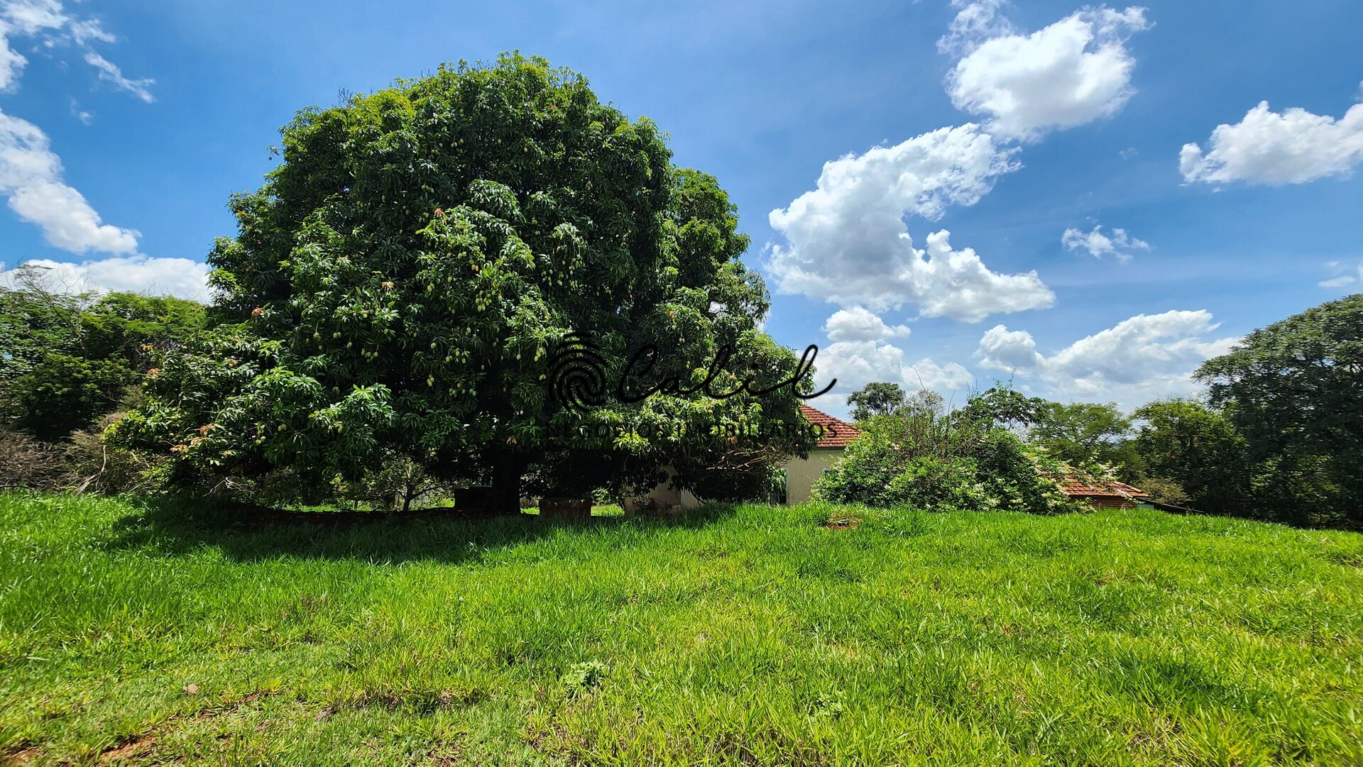Fazenda, 76 hectares - Foto 33