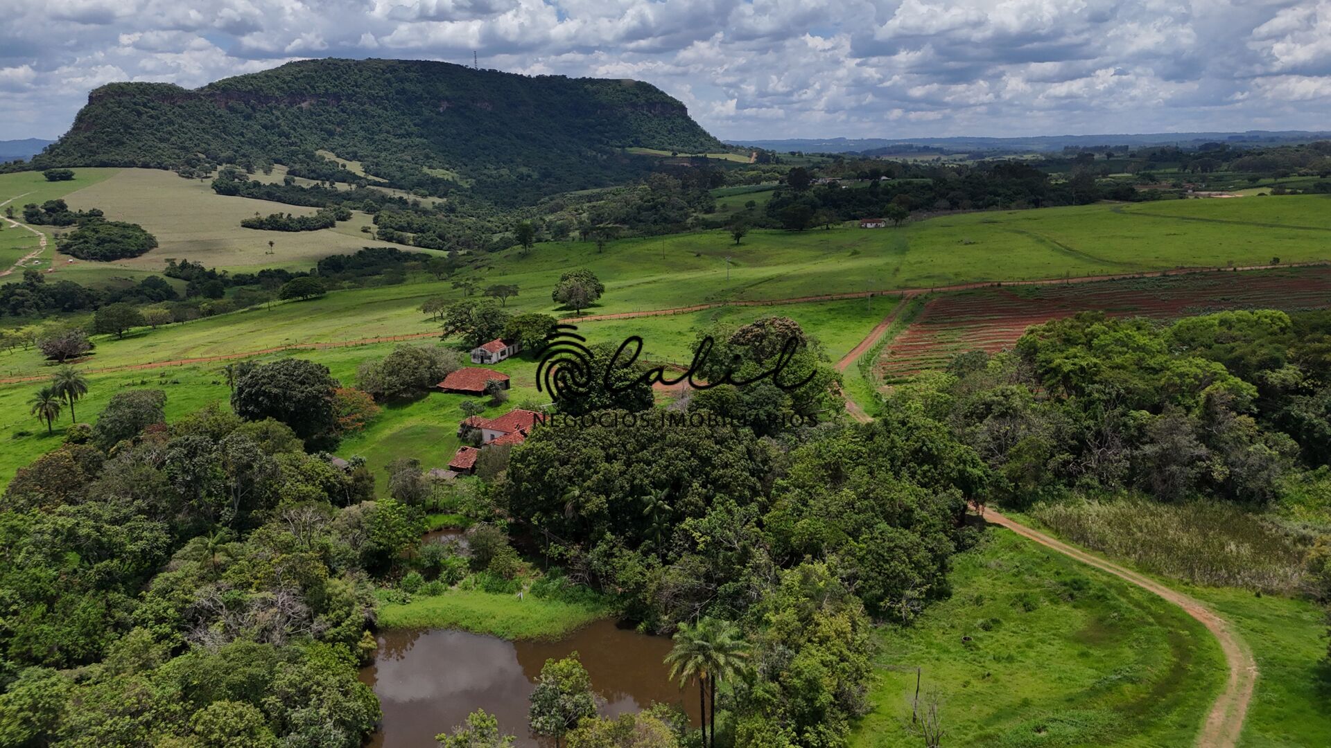 Fazenda, 76 hectares - Foto 6