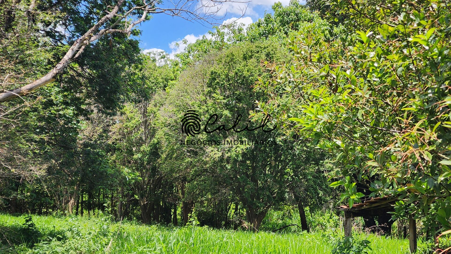 Fazenda, 76 hectares - Foto 30