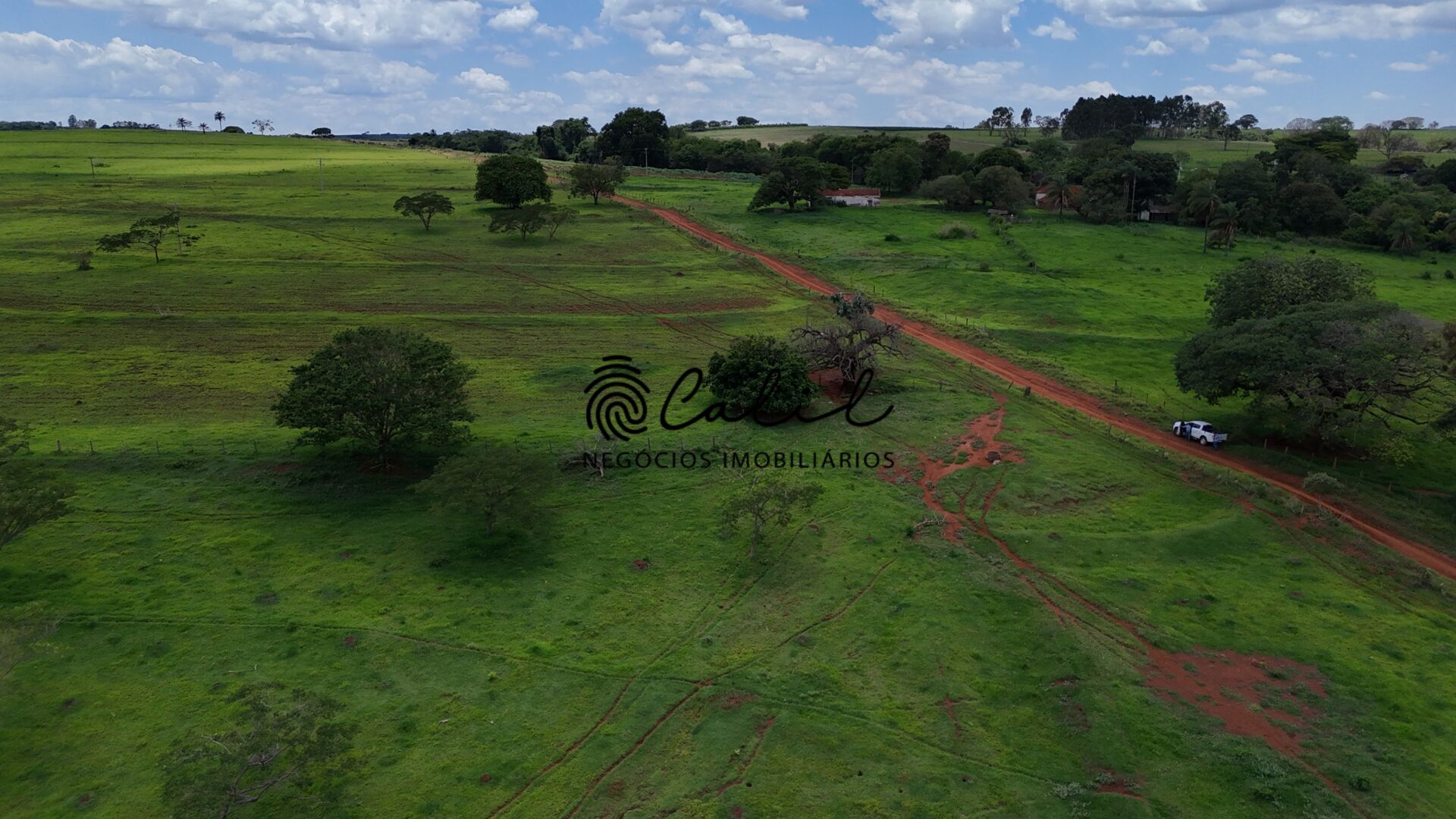 Fazenda, 76 hectares - Foto 11