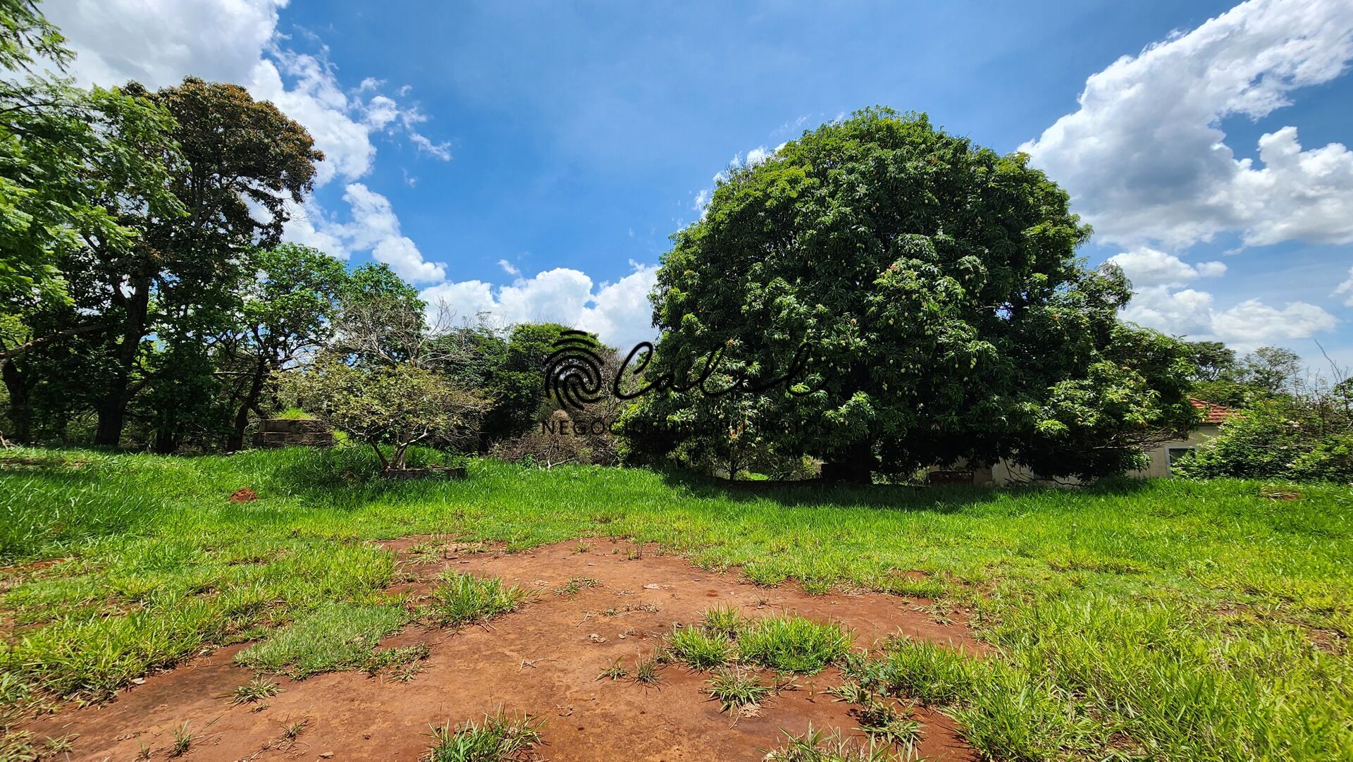 Fazenda, 76 hectares - Foto 32