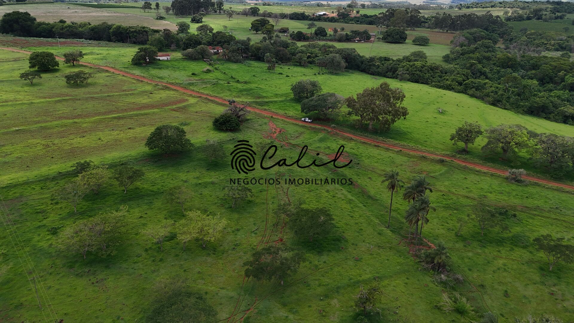 Fazenda, 76 hectares - Foto 13