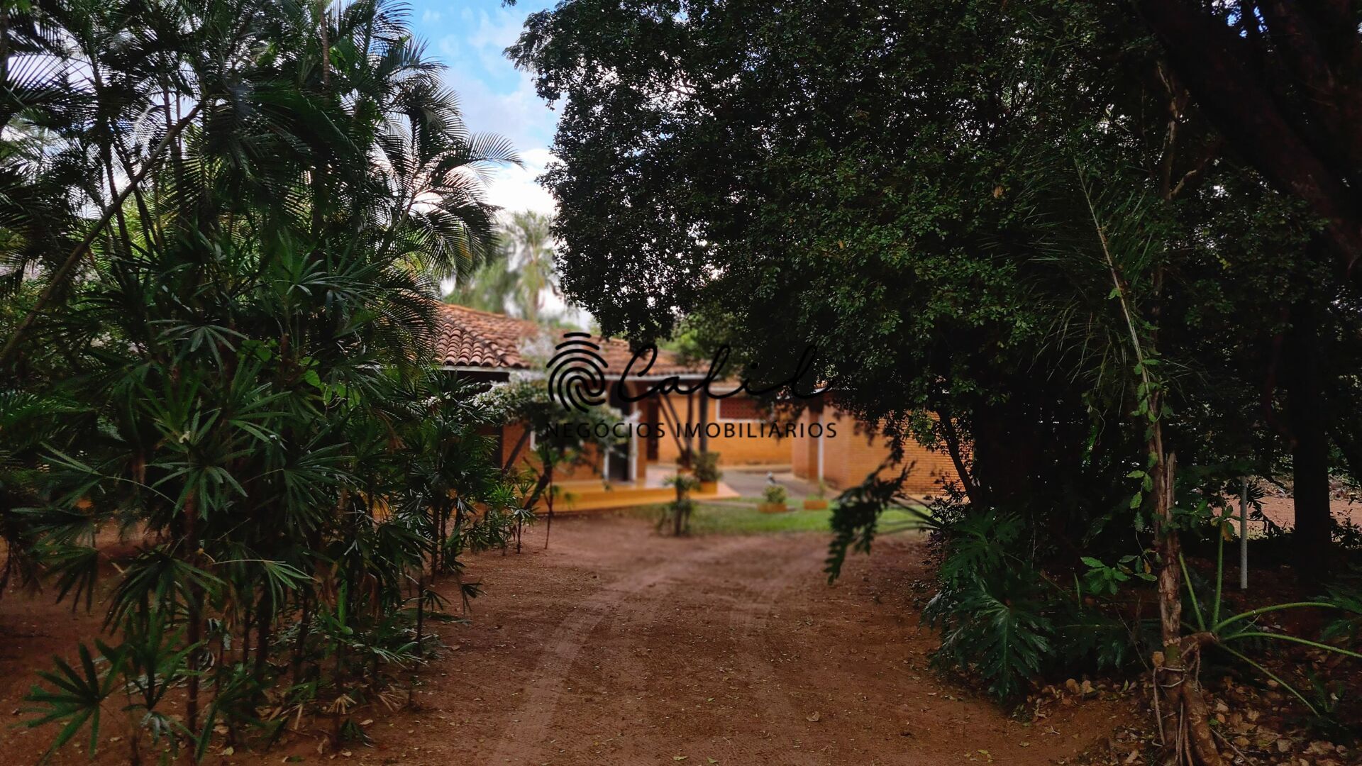 Fazenda à venda com 5 quartos, 10000m² - Foto 22