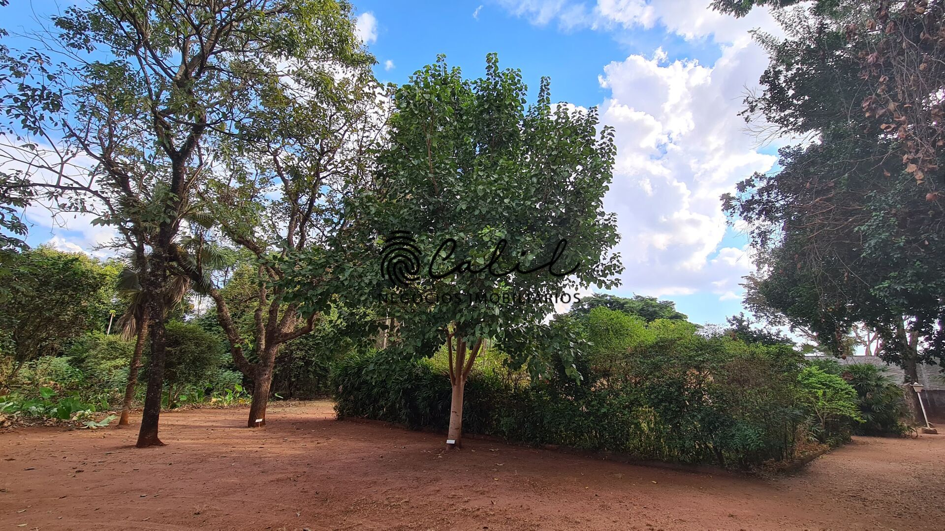 Fazenda à venda com 5 quartos, 10000m² - Foto 25