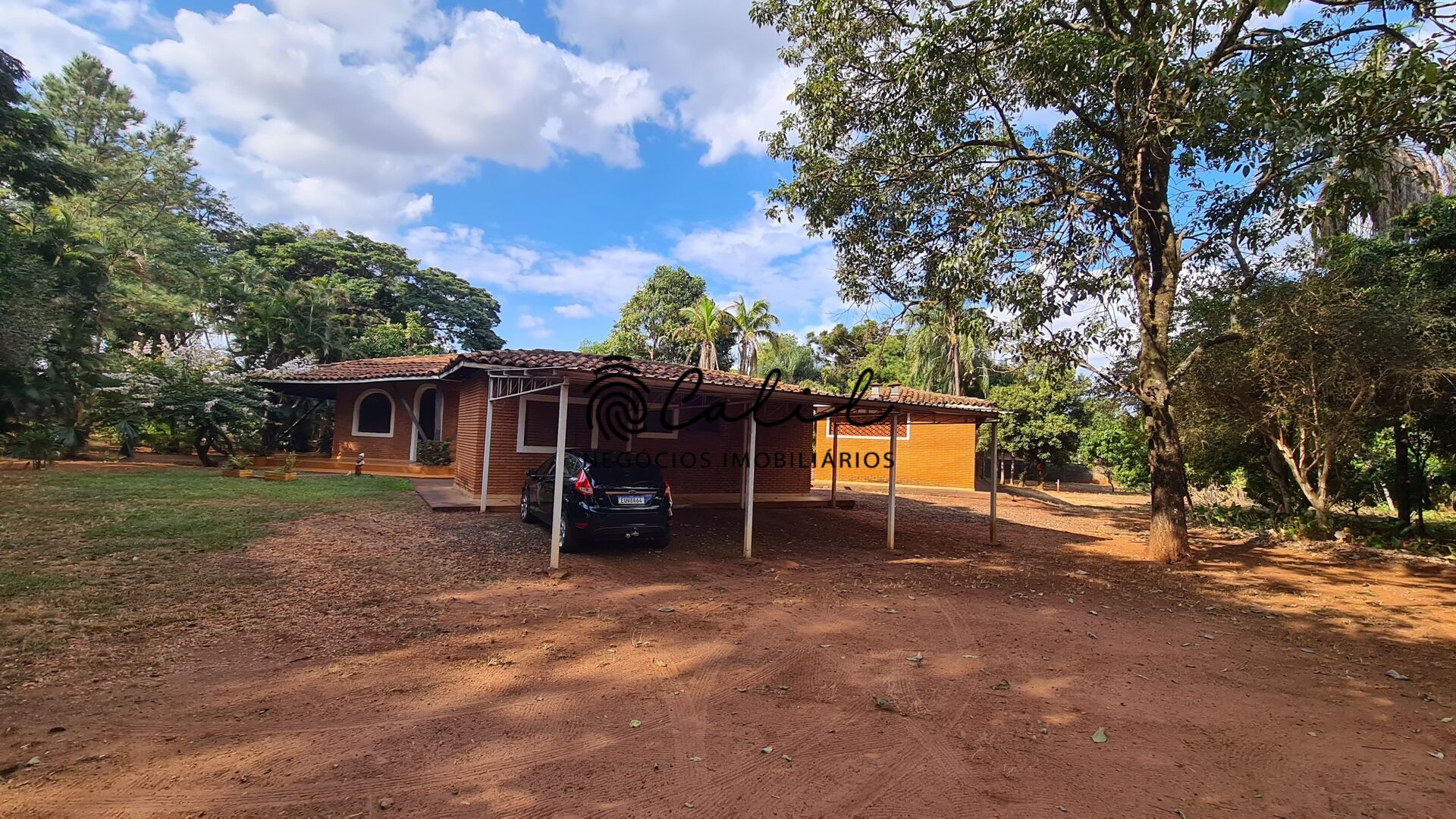 Fazenda à venda com 5 quartos, 10000m² - Foto 16