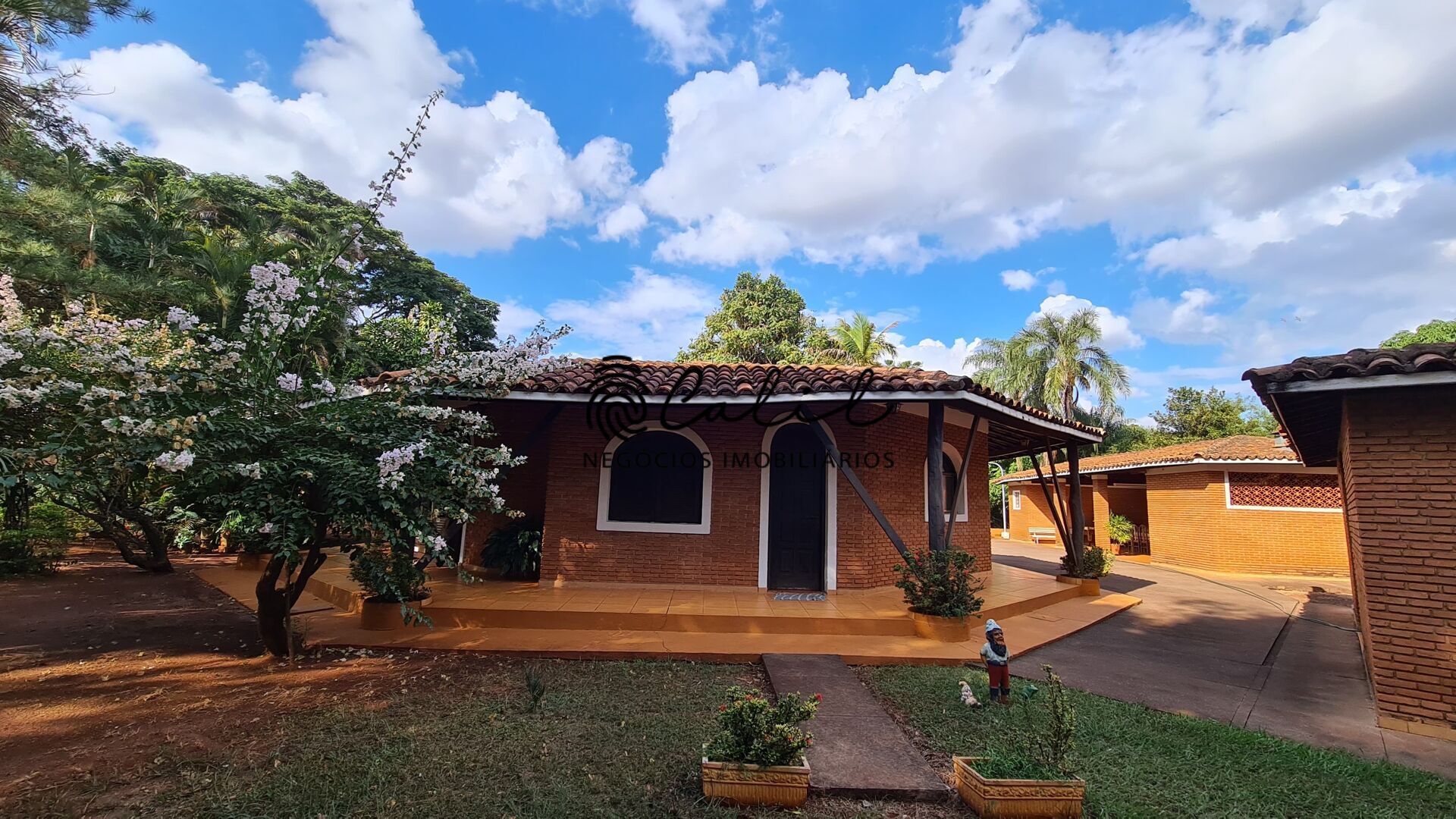 Fazenda à venda com 5 quartos, 10000m² - Foto 2