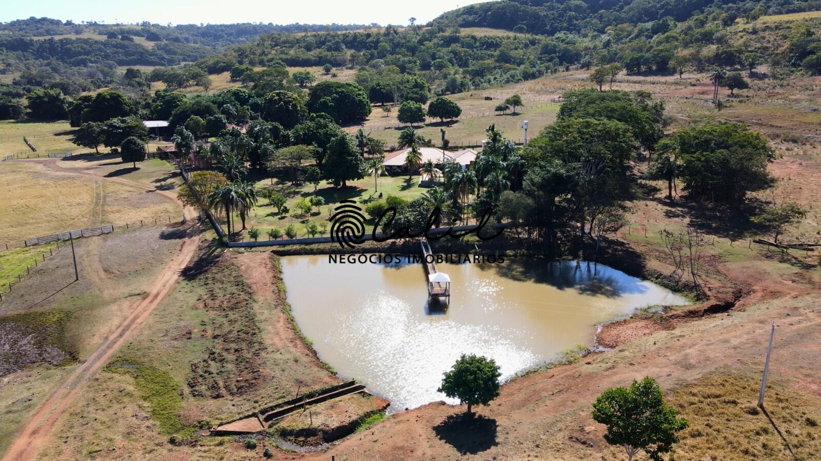 Fazenda, 1300 hectares - Foto 17