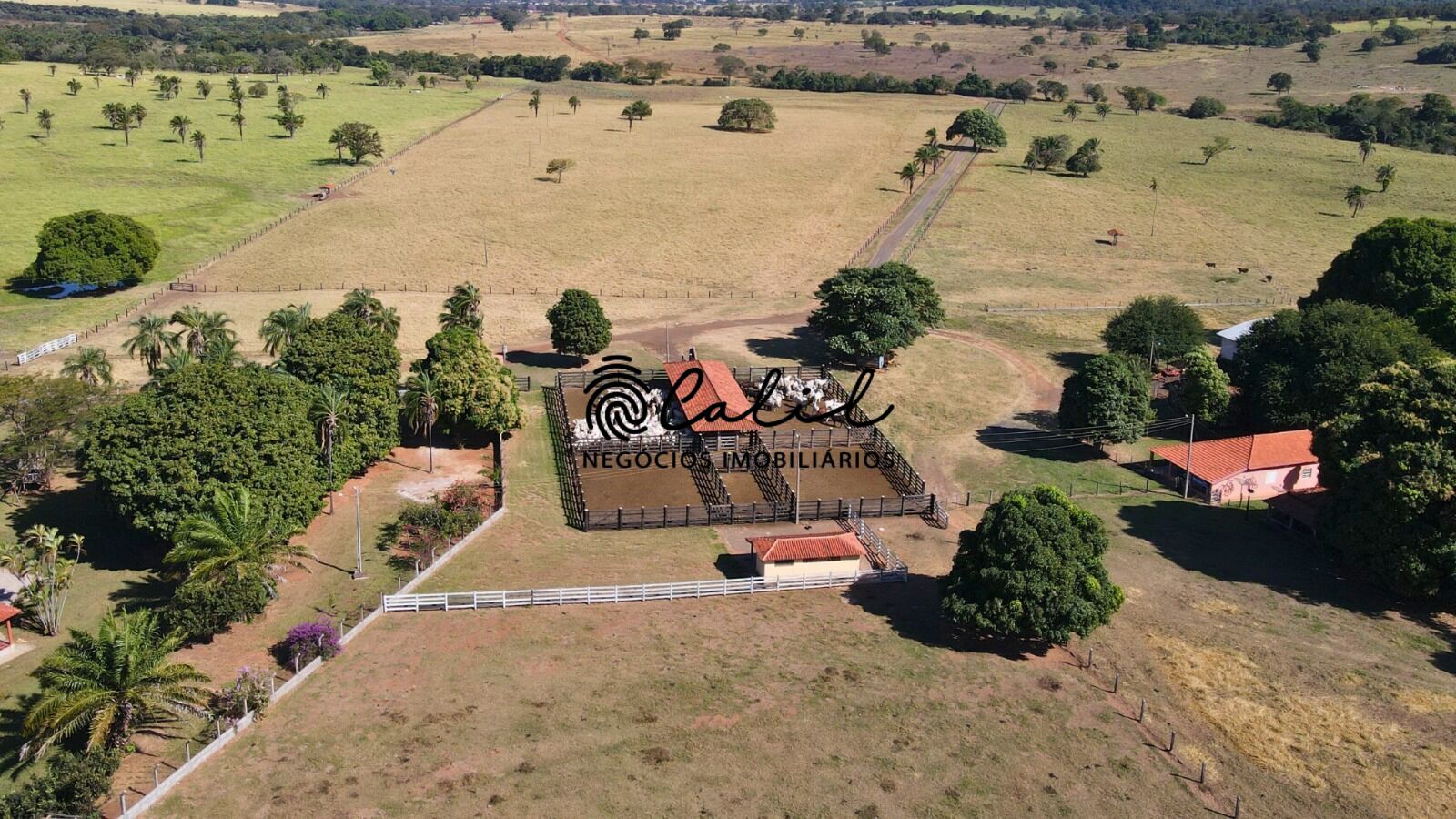 Fazenda, 1300 hectares - Foto 13