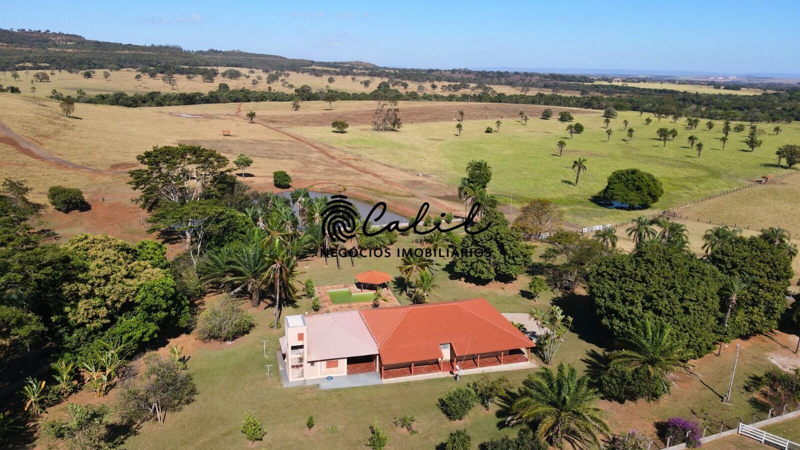 Fazenda, 1300 hectares - Foto 16