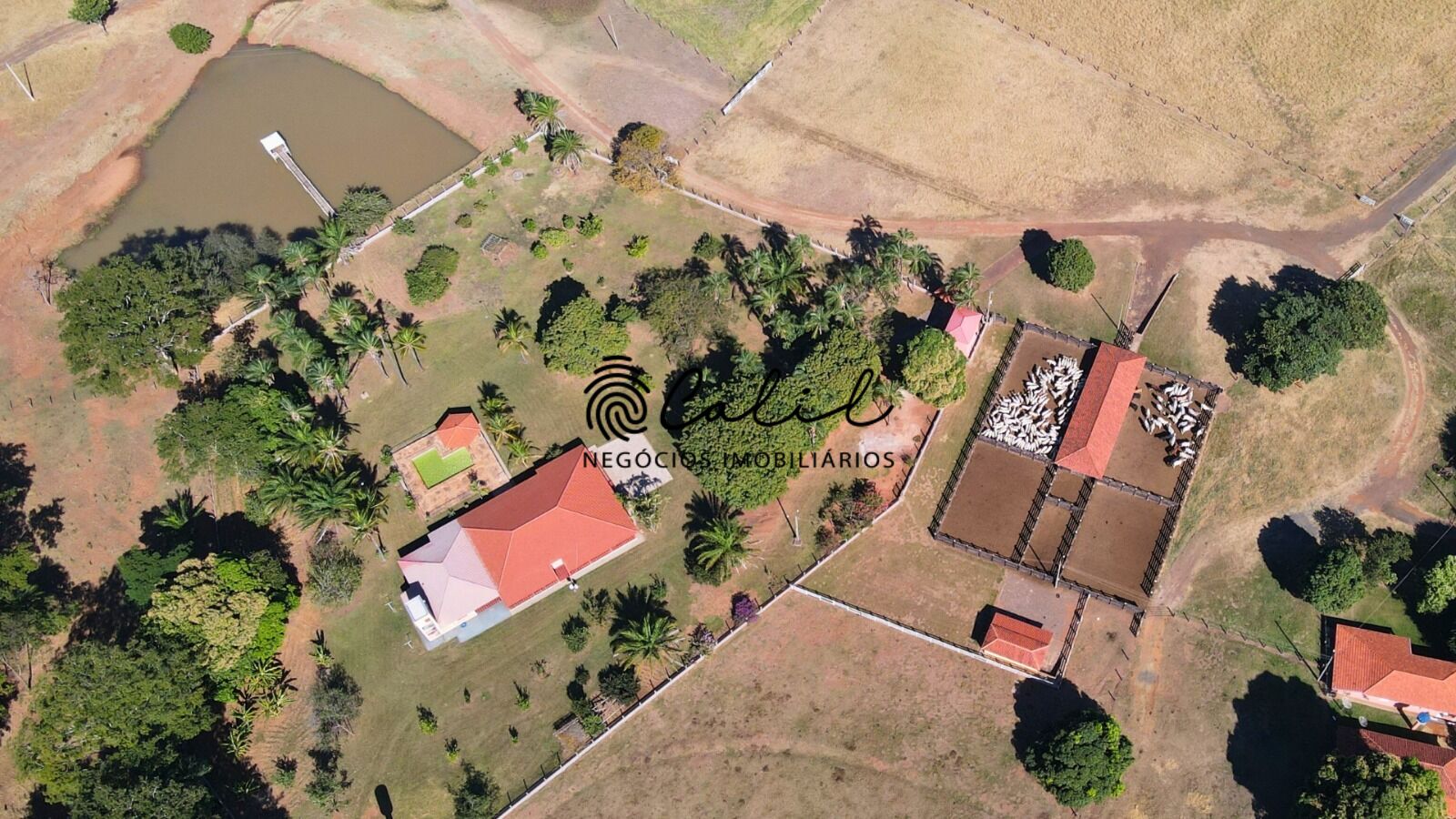 Fazenda, 1300 hectares - Foto 4