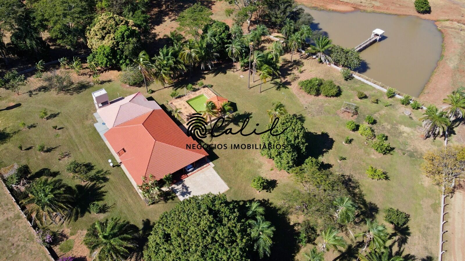 Fazenda, 1300 hectares - Foto 19