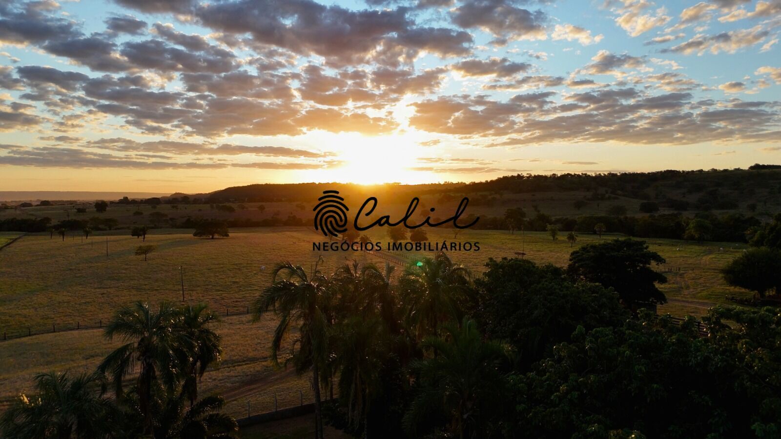 Fazenda, 1300 hectares - Foto 12