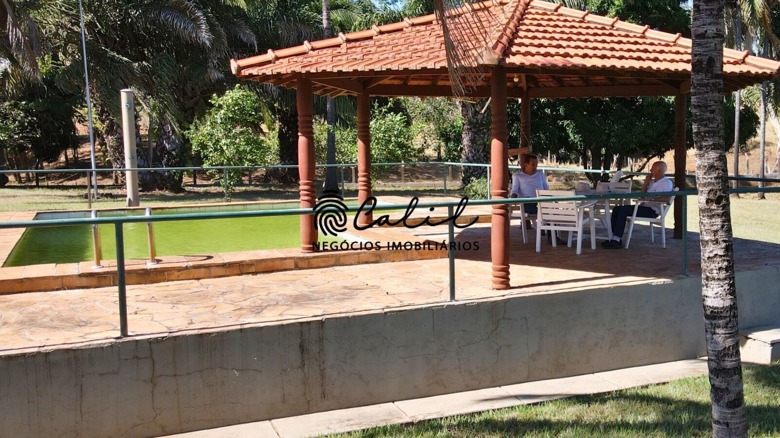 Fazenda, 1300 hectares - Foto 22