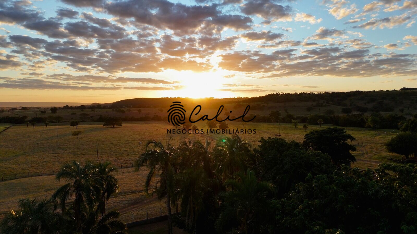 Fazenda, 1300 hectares - Foto 1