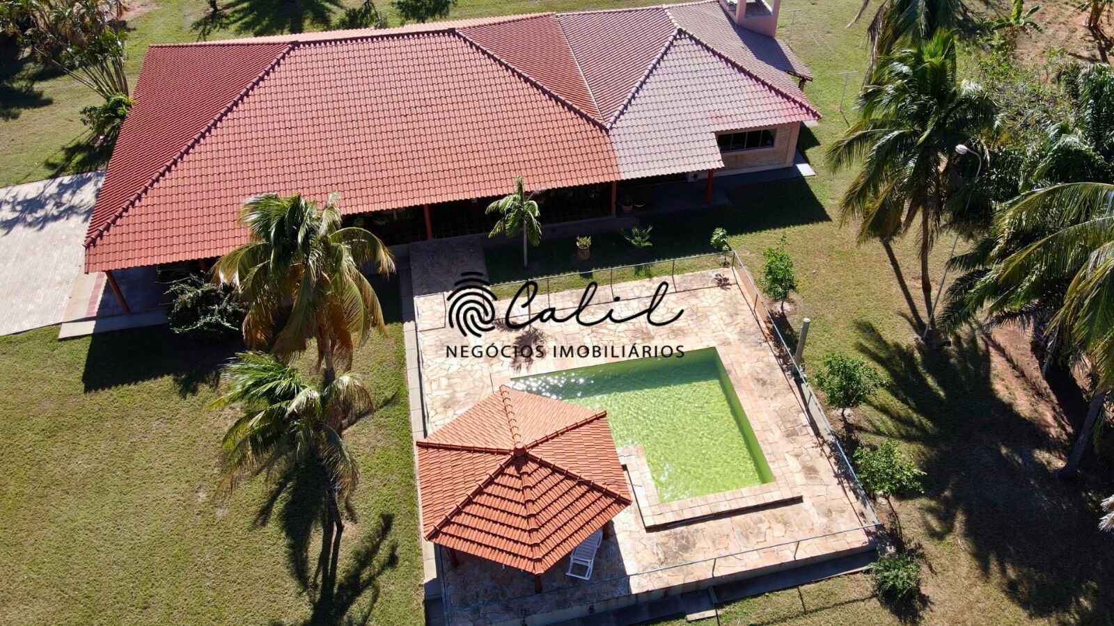 Fazenda, 1300 hectares - Foto 10