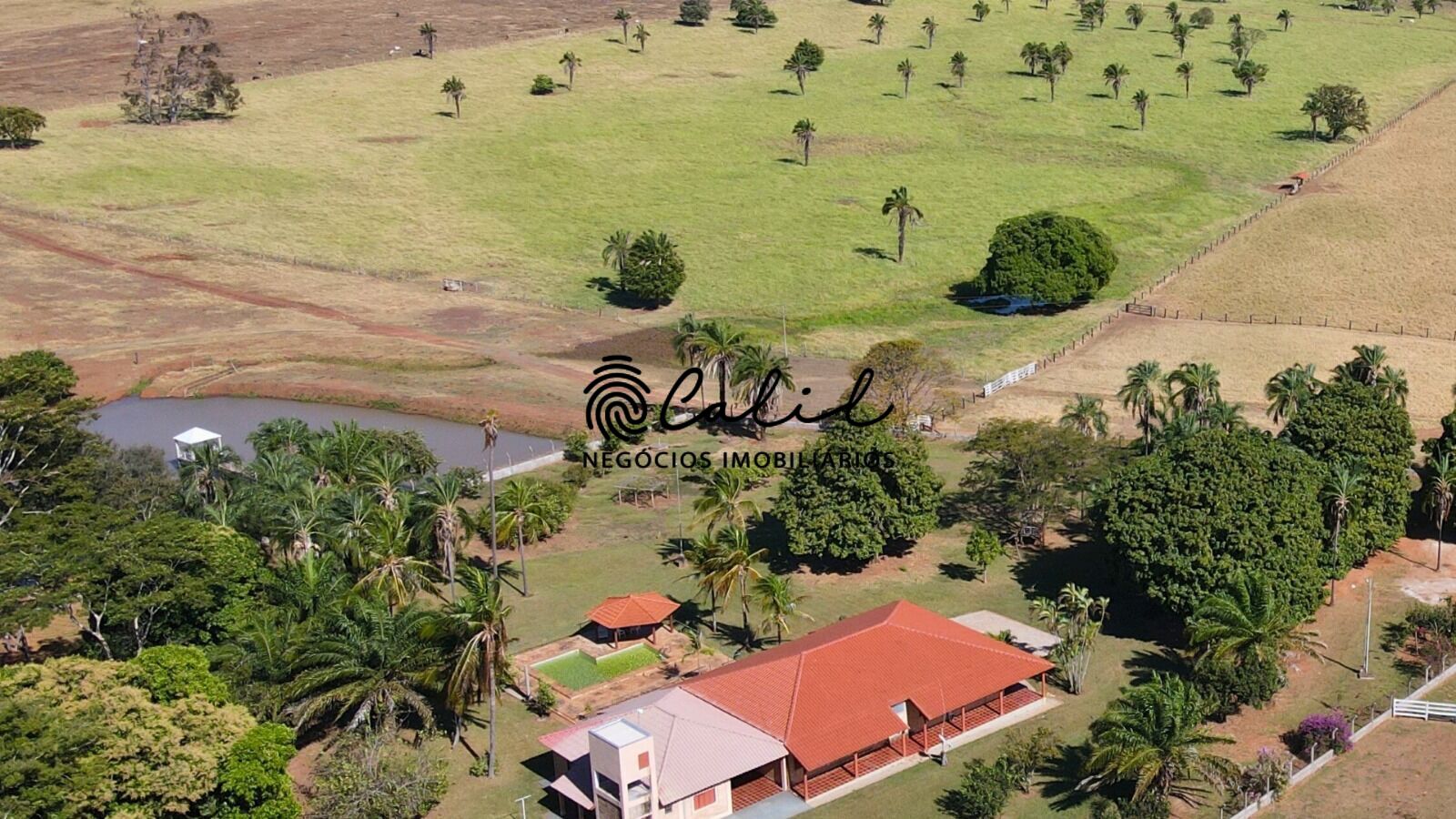 Fazenda, 1300 hectares - Foto 14