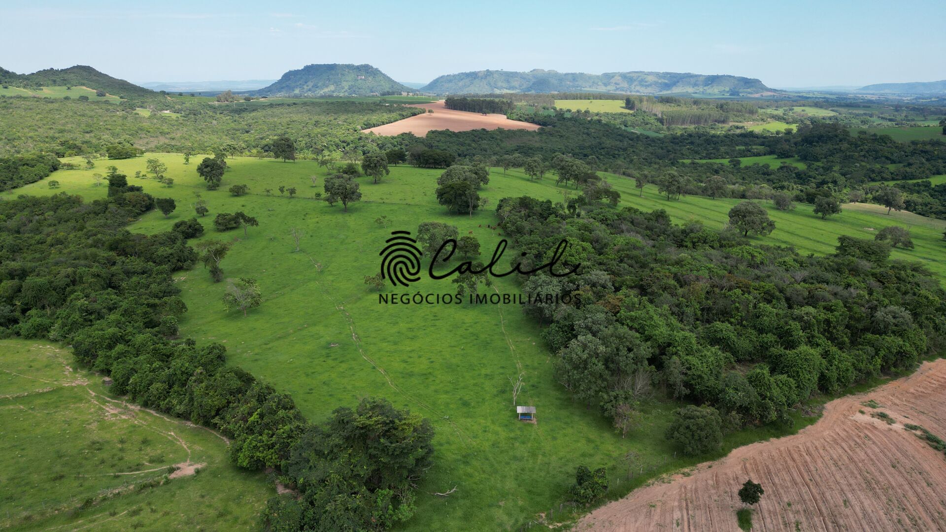 Fazenda, 58 hectares - Foto 11