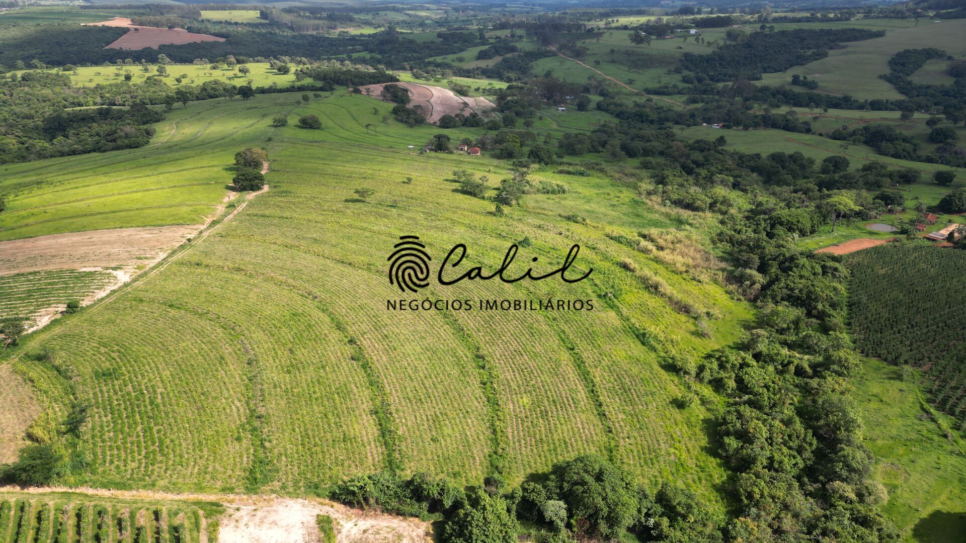 Fazenda, 58 hectares - Foto 9