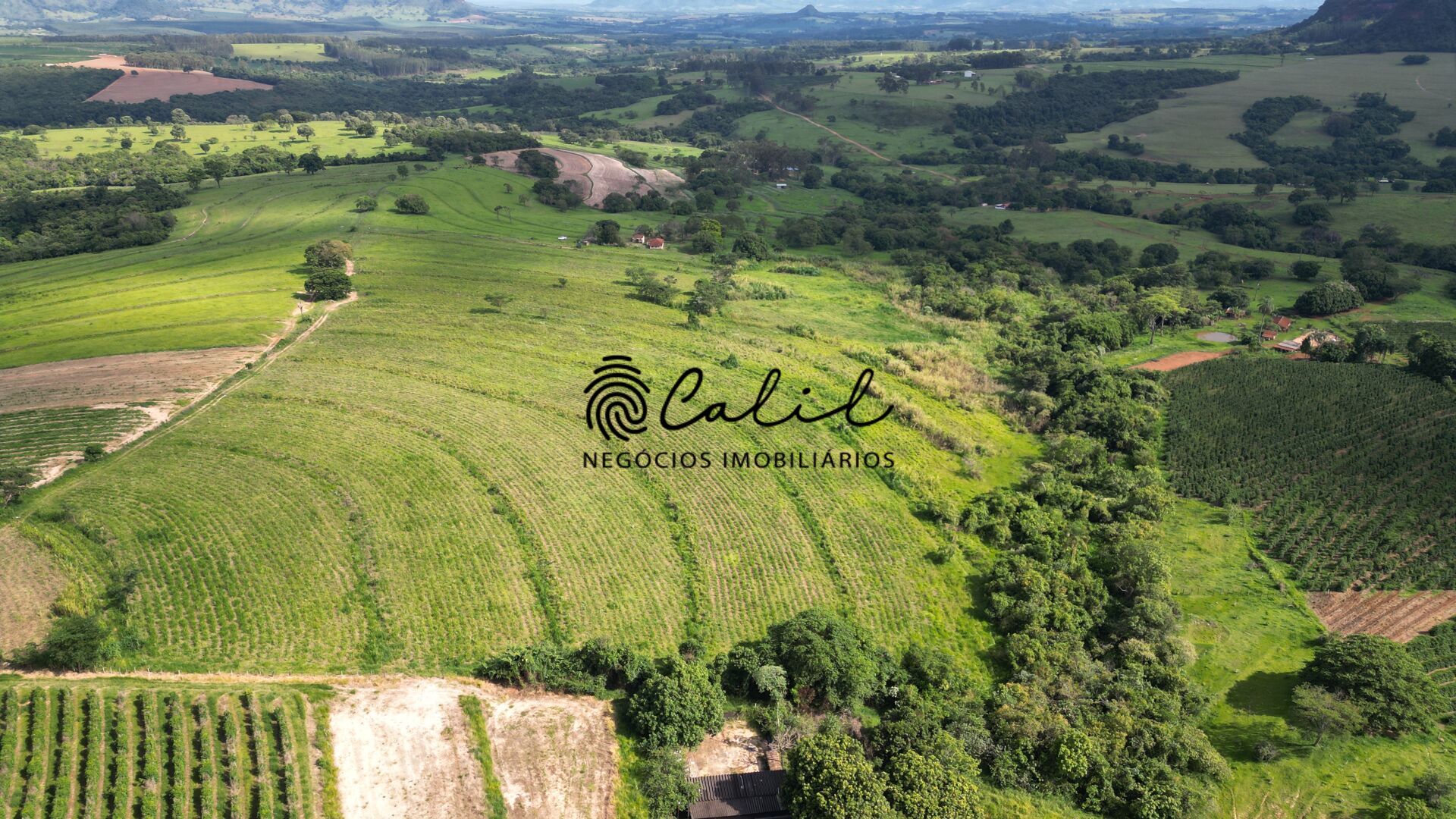 Fazenda, 58 hectares - Foto 7