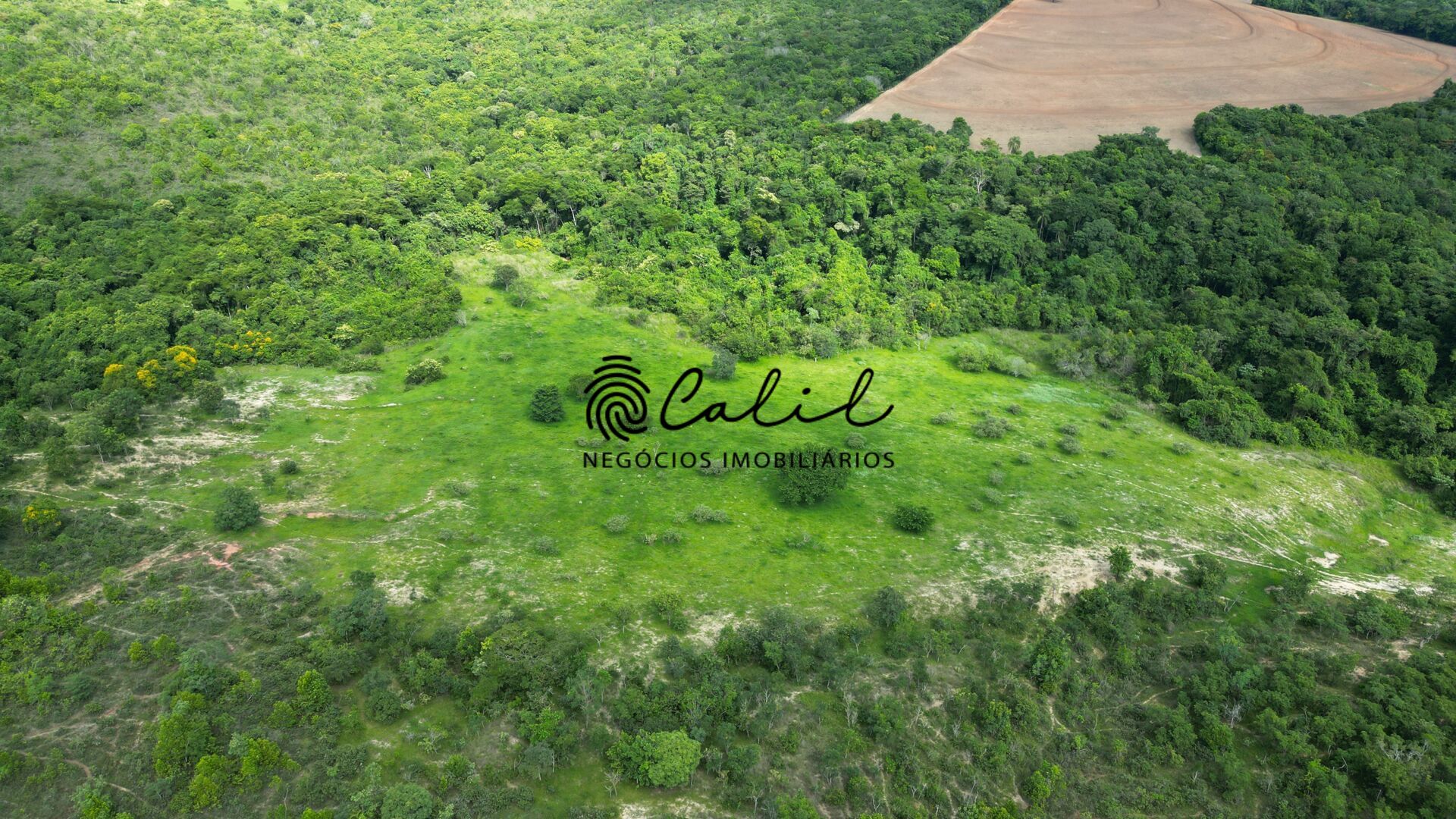 Fazenda, 58 hectares - Foto 12