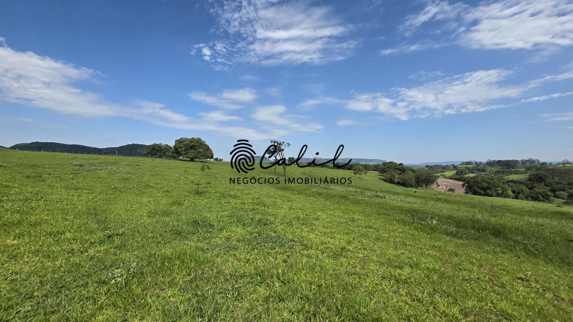 Fazenda, 58 hectares - Foto 1