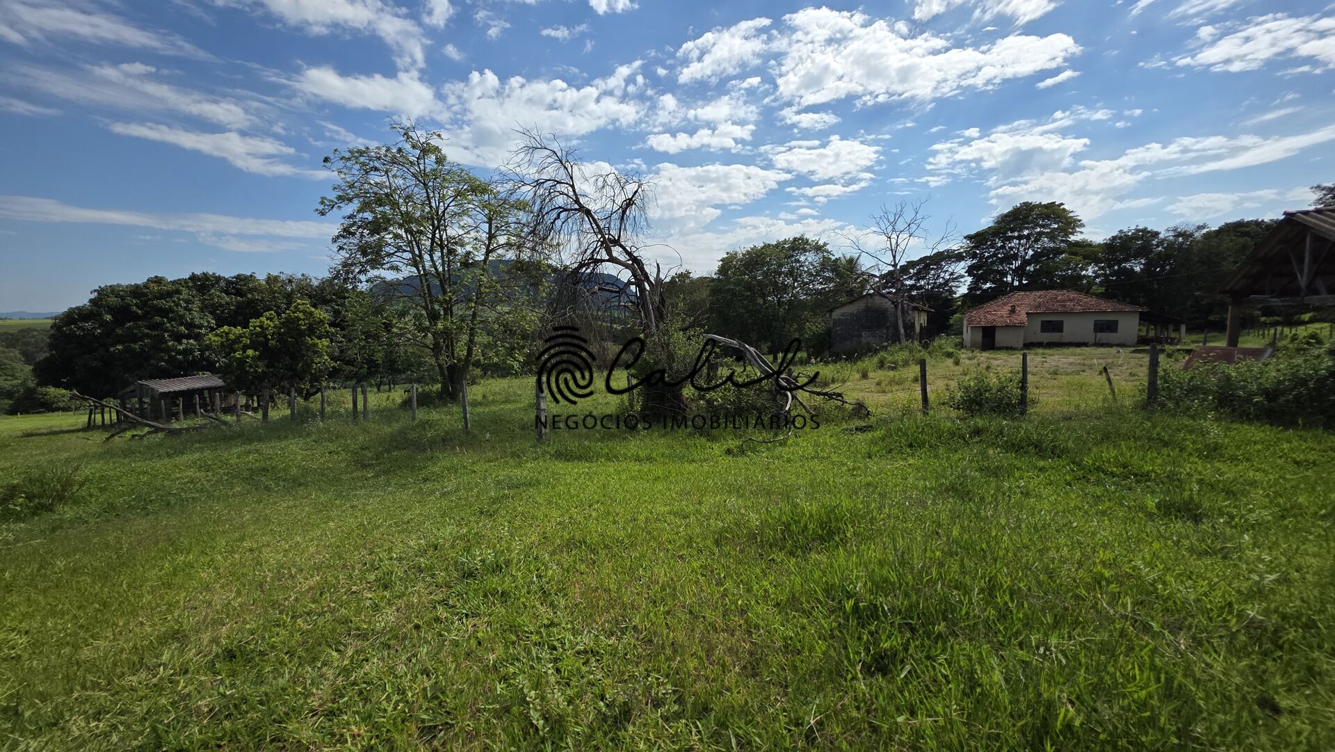 Fazenda, 58 hectares - Foto 4