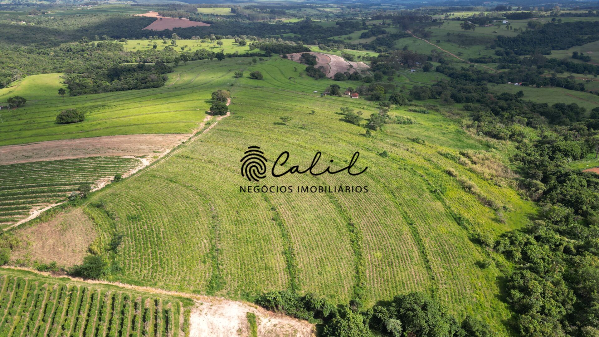 Fazenda, 58 hectares - Foto 8