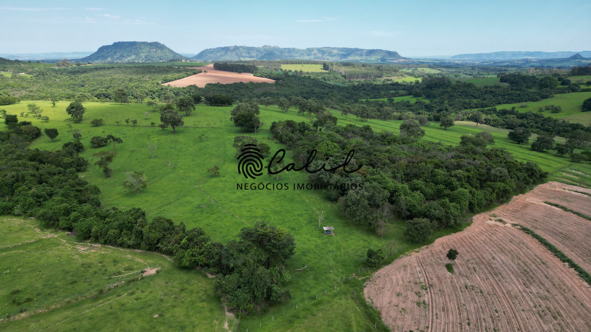 Fazenda, 58 hectares - Foto 10