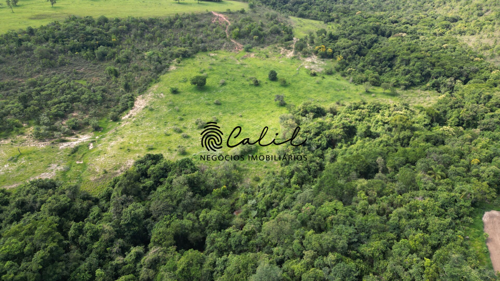 Fazenda, 58 hectares - Foto 14