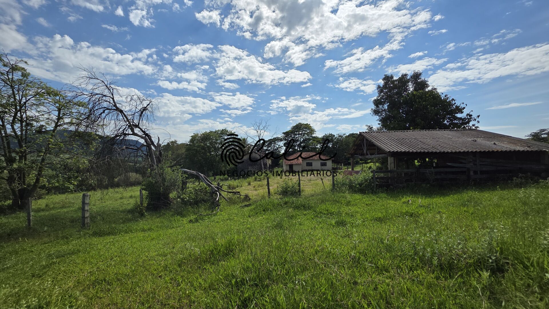 Fazenda, 58 hectares - Foto 3