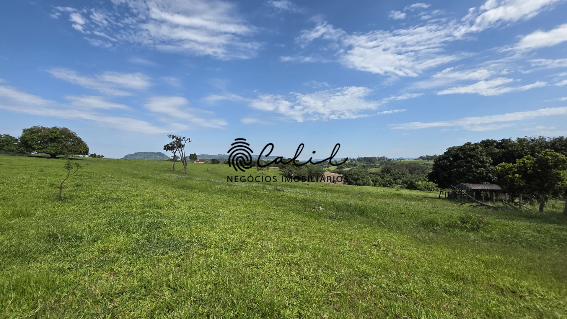 Fazenda, 58 hectares - Foto 2
