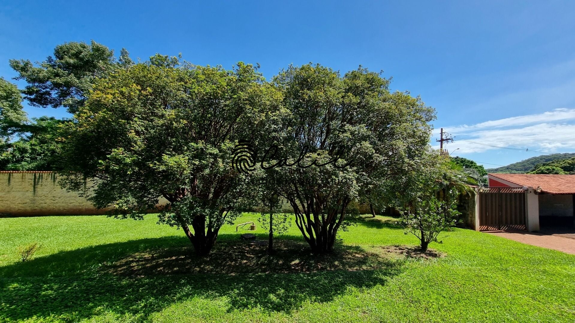 Fazenda à venda com 4 quartos, 700m² - Foto 3