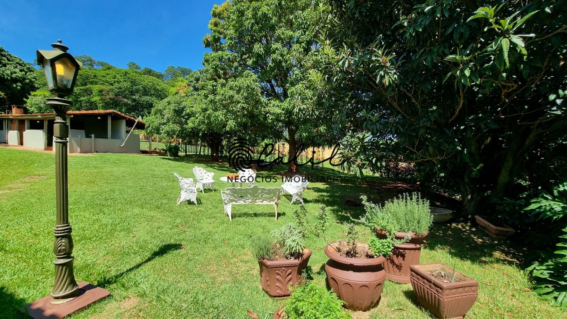 Fazenda à venda com 4 quartos, 700m² - Foto 33