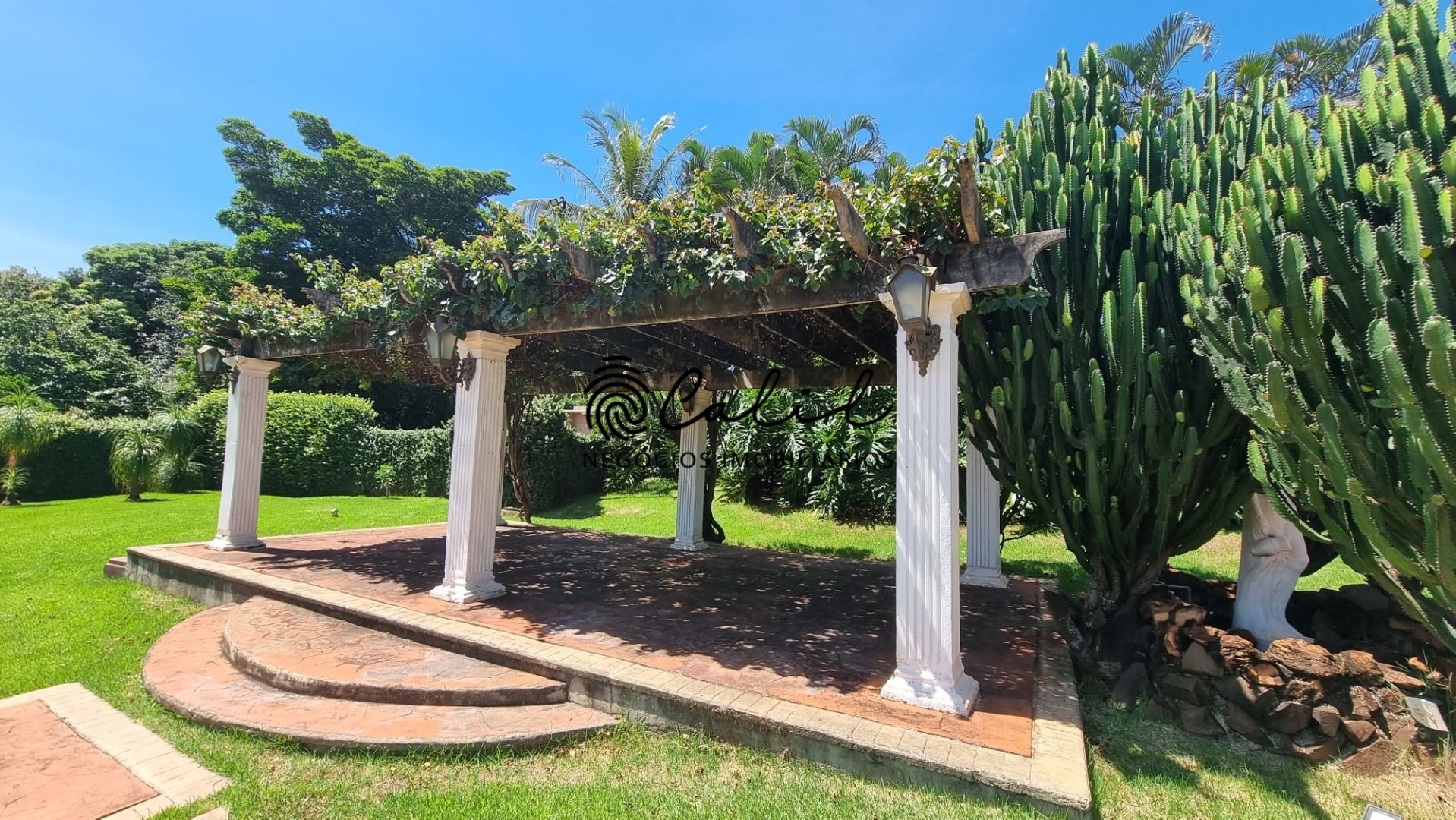 Sítio, 4 quartos, 10000 m² - Foto 5