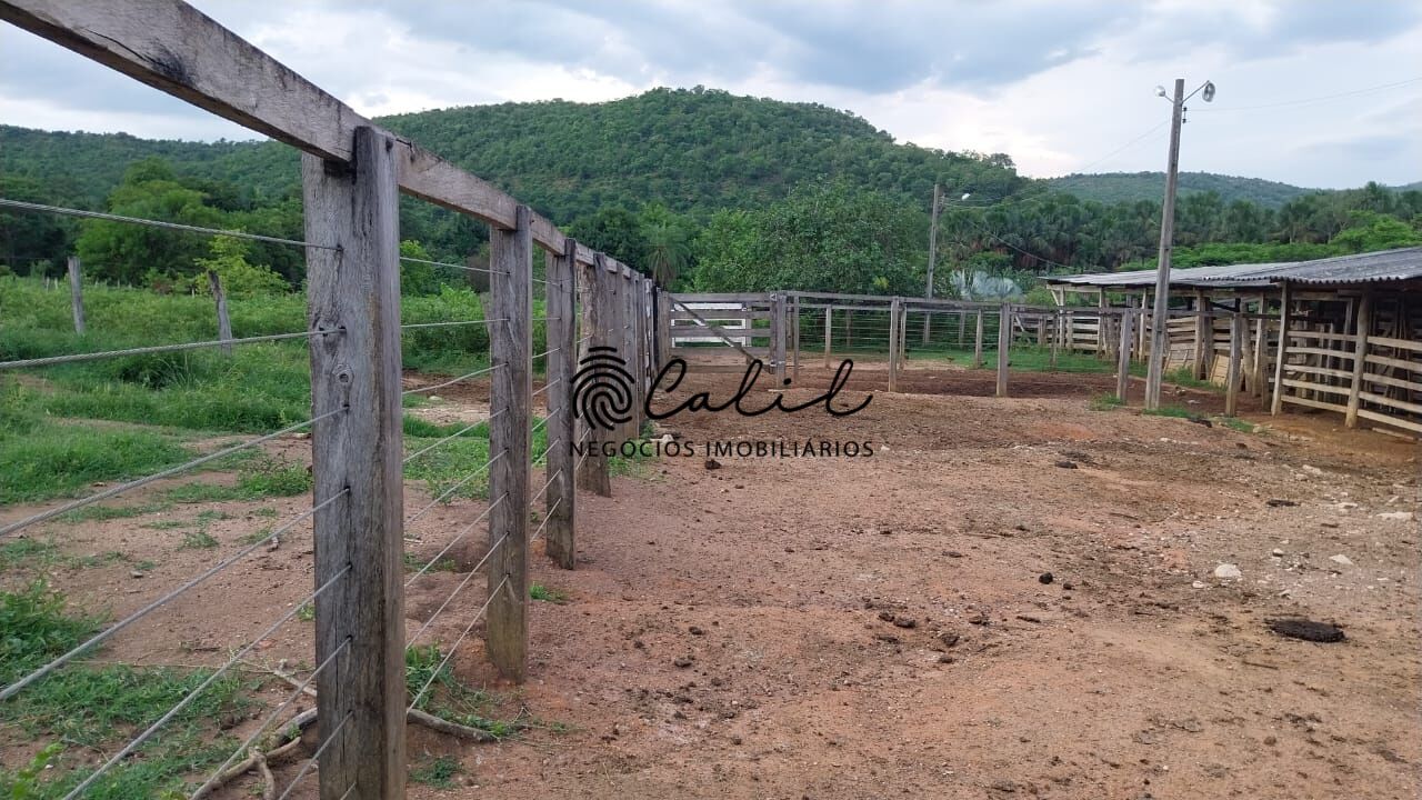 Fazenda-Sítio-Chácara, 704 hectares - Foto 19