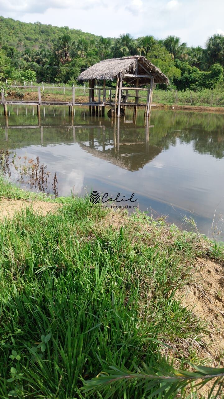 Fazenda-Sítio-Chácara, 704 hectares - Foto 6