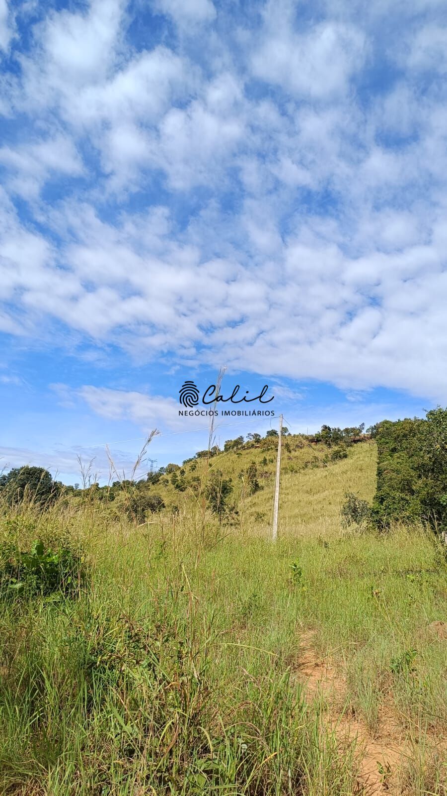 Fazenda-Sítio-Chácara, 704 hectares - Foto 4