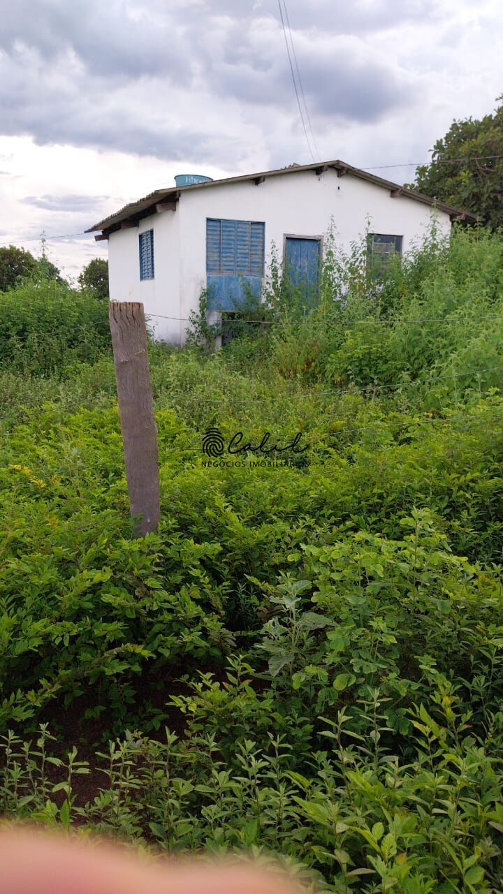 Fazenda-Sítio-Chácara, 704 hectares - Foto 34