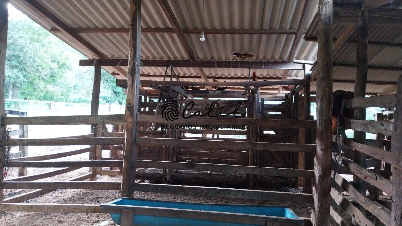 Fazenda-Sítio-Chácara, 704 hectares - Foto 17