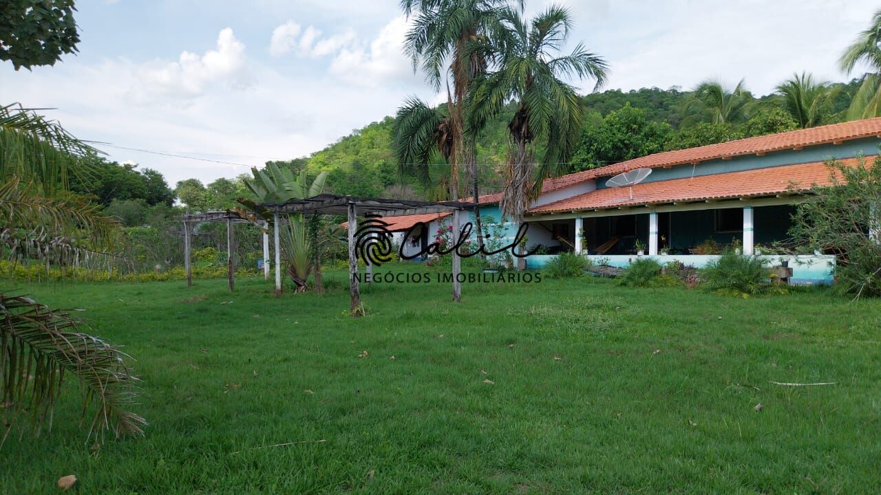 Fazenda-Sítio-Chácara, 704 hectares - Foto 7