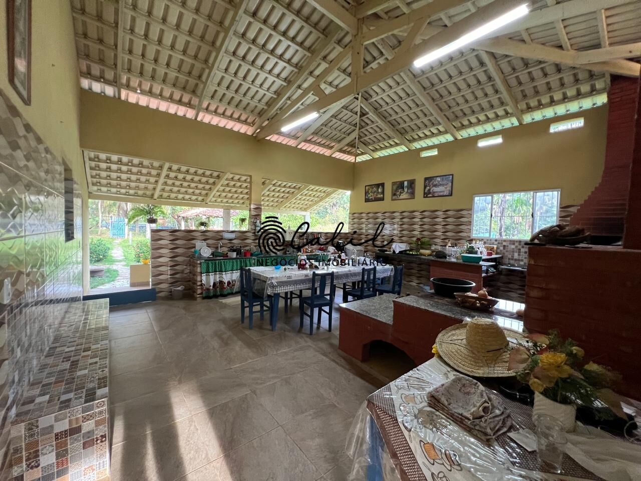 Fazenda-Sítio-Chácara, 704 hectares - Foto 11