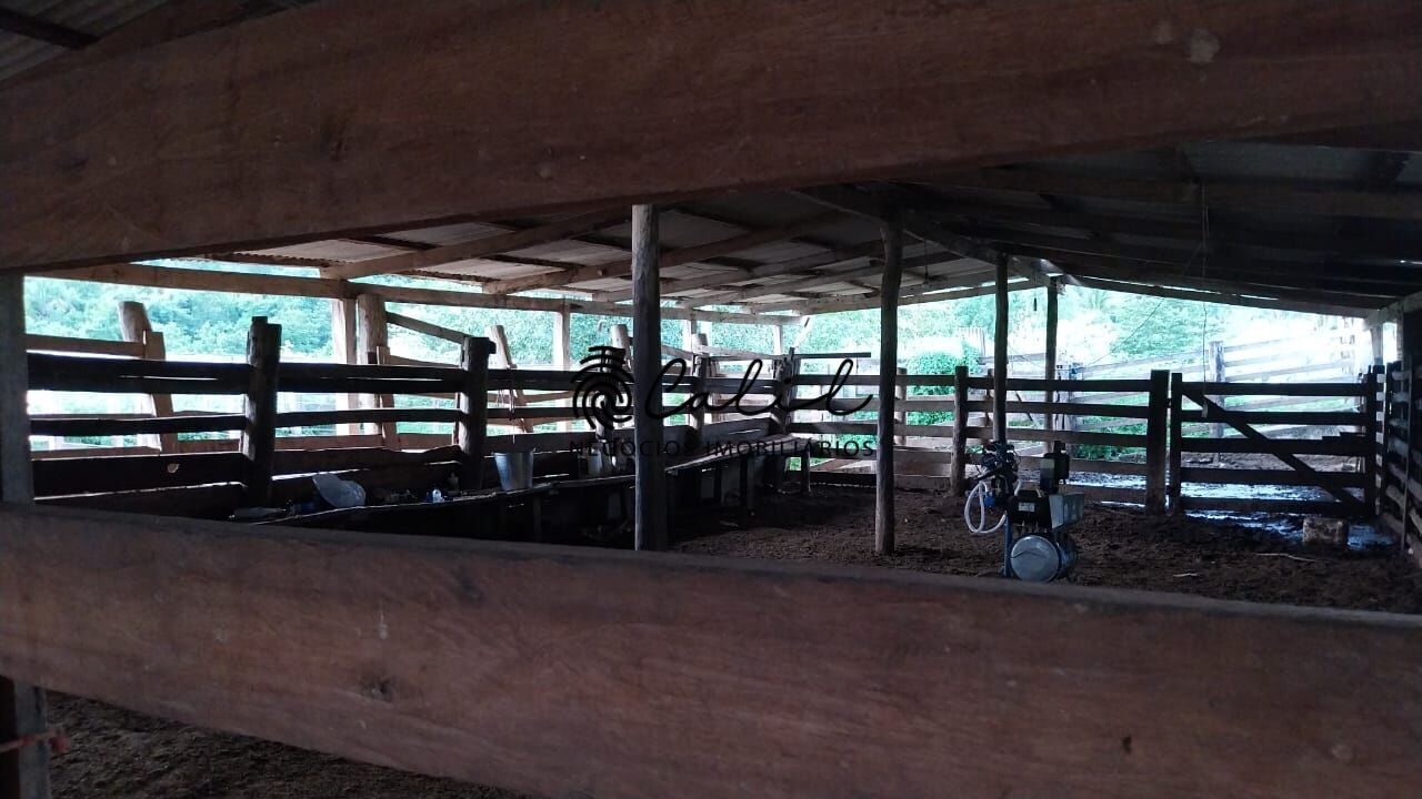 Fazenda-Sítio-Chácara, 704 hectares - Foto 21