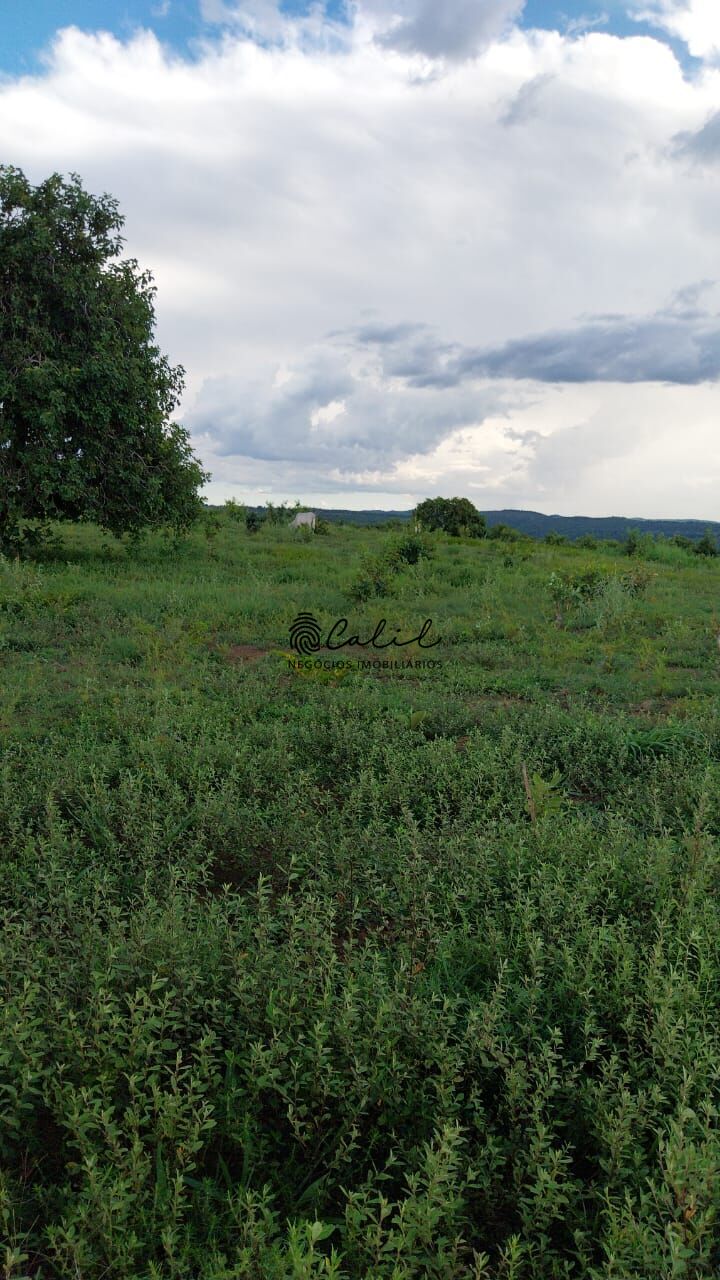 Fazenda-Sítio-Chácara, 704 hectares - Foto 35