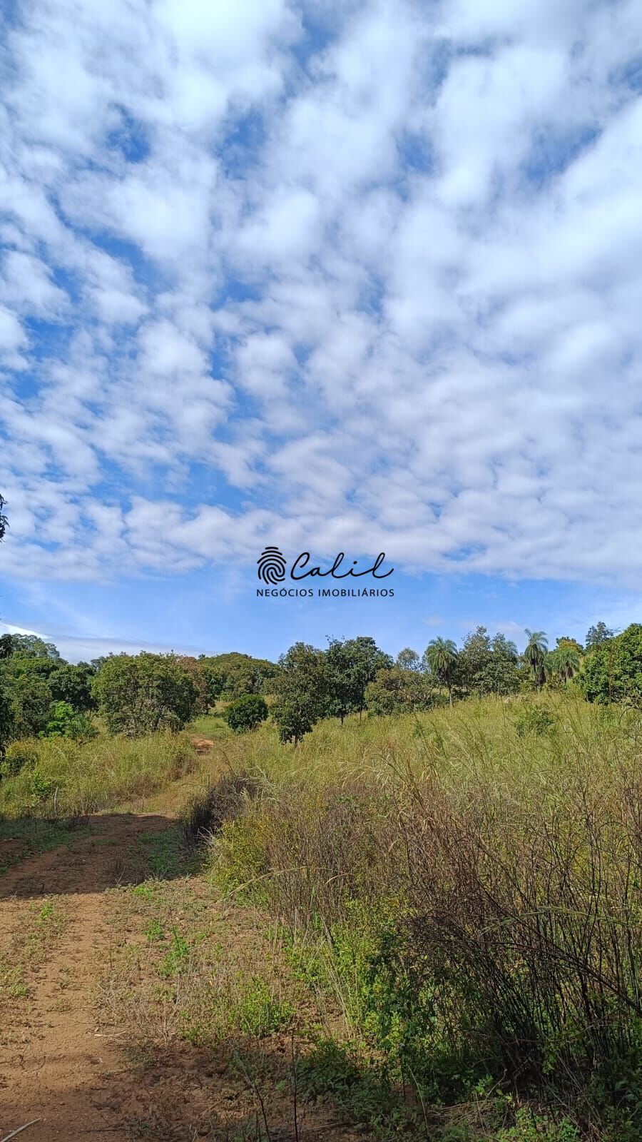 Fazenda-Sítio-Chácara, 704 hectares - Foto 2