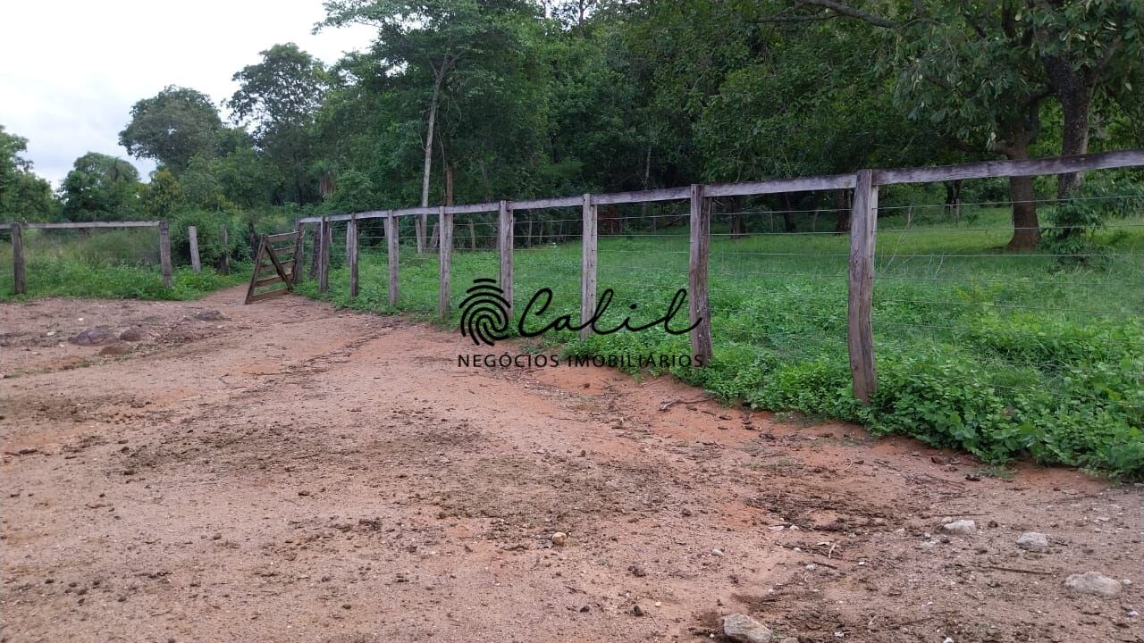 Fazenda-Sítio-Chácara, 704 hectares - Foto 20