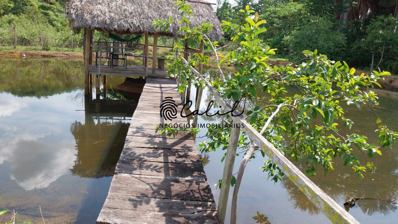 Fazenda-Sítio-Chácara, 704 hectares - Foto 10